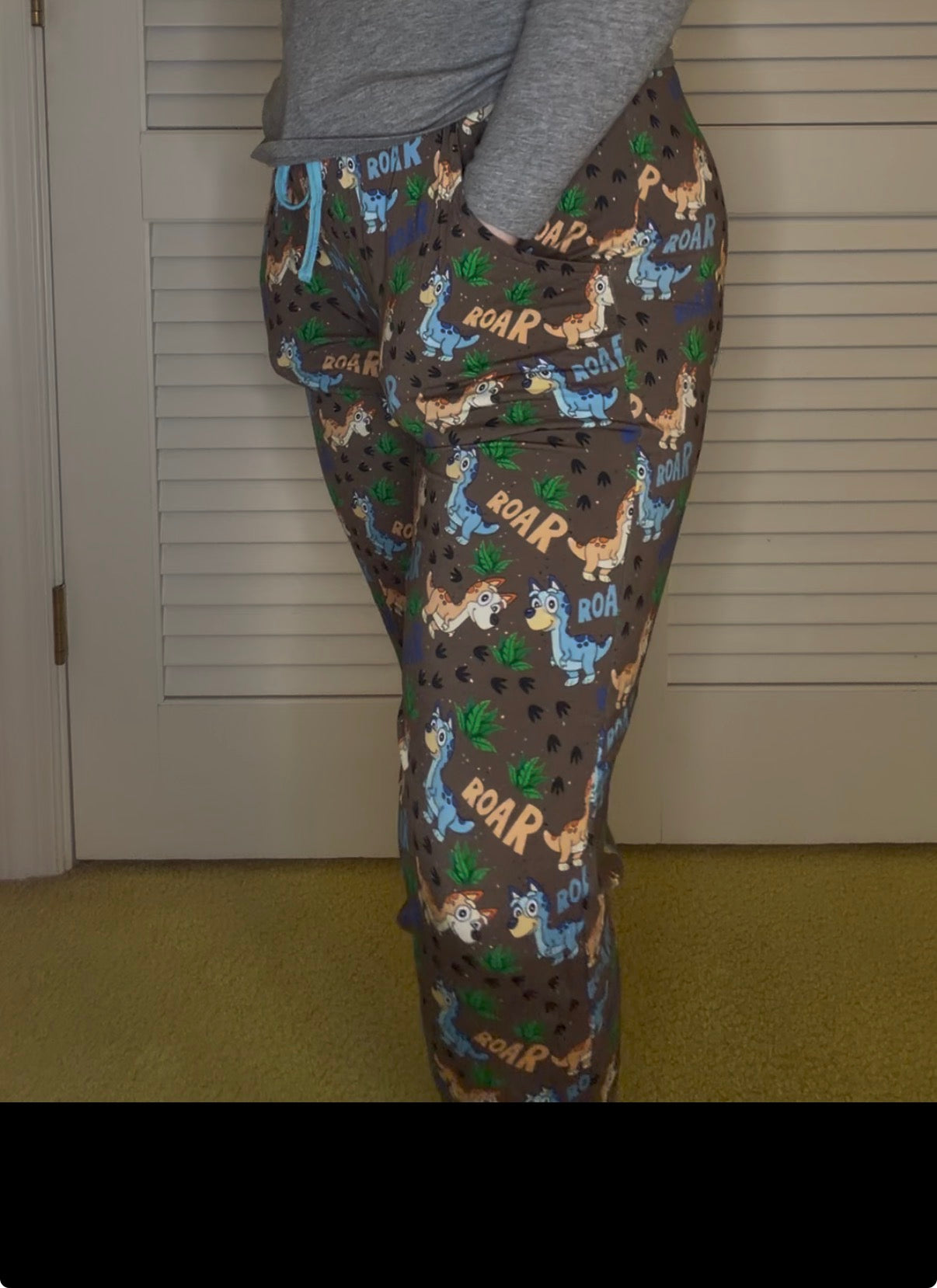 Blue and Bingo Dino Adventure Mama Joggers